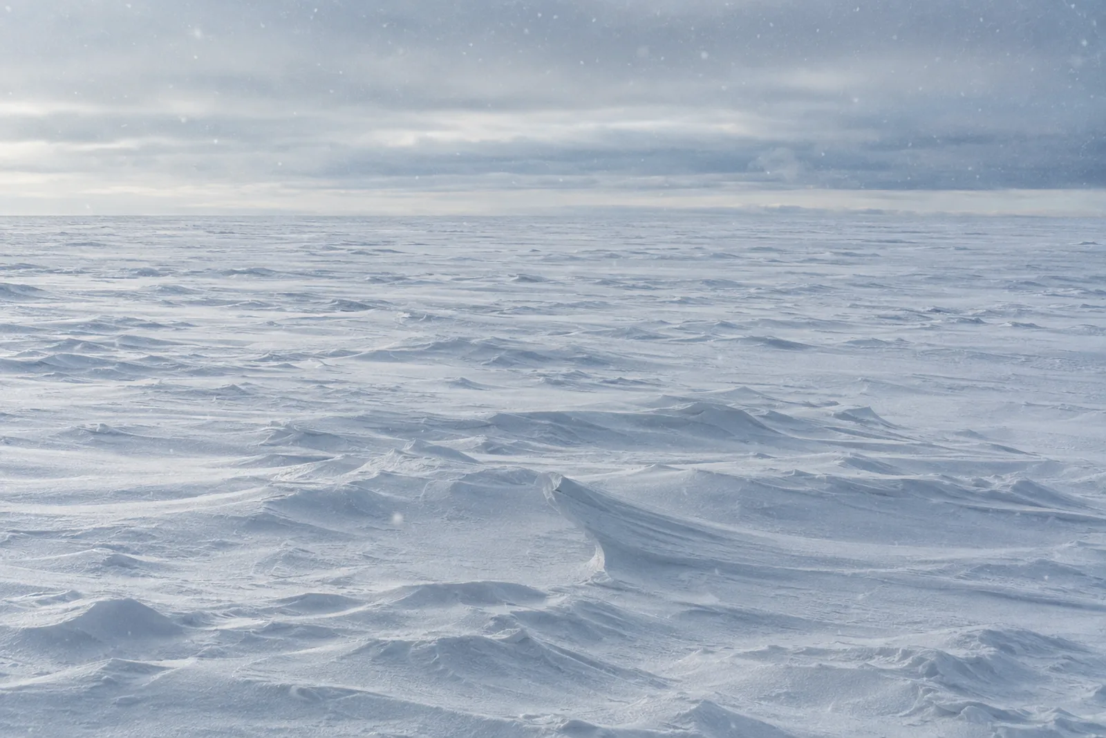 Eine weite, flache Fl&auml;che windgeformten Schnees auf dem ostantarktischen Hochplateau unter einem blassen Himmel mit tiefen Wolken und leichtem Schneefall, der &uuml;ber die Oberfl&auml;che treibt.